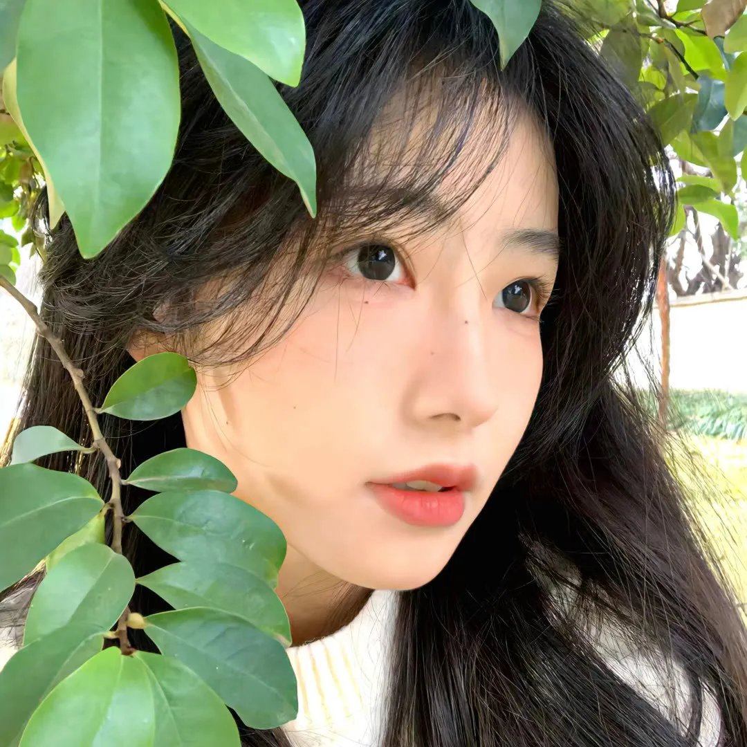 暴风雨的幻象